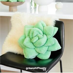 16" Sage Green Succulent Cactus Pillow Bedding Accent Green Lil Pop Philosophy